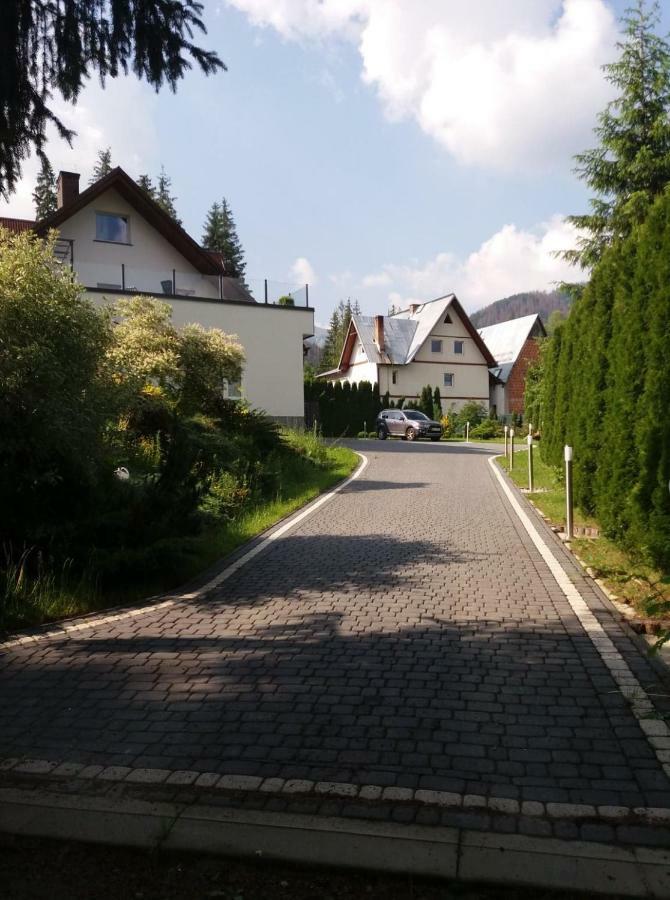Willa Cichy Potok Zakopane Kültér fotó
