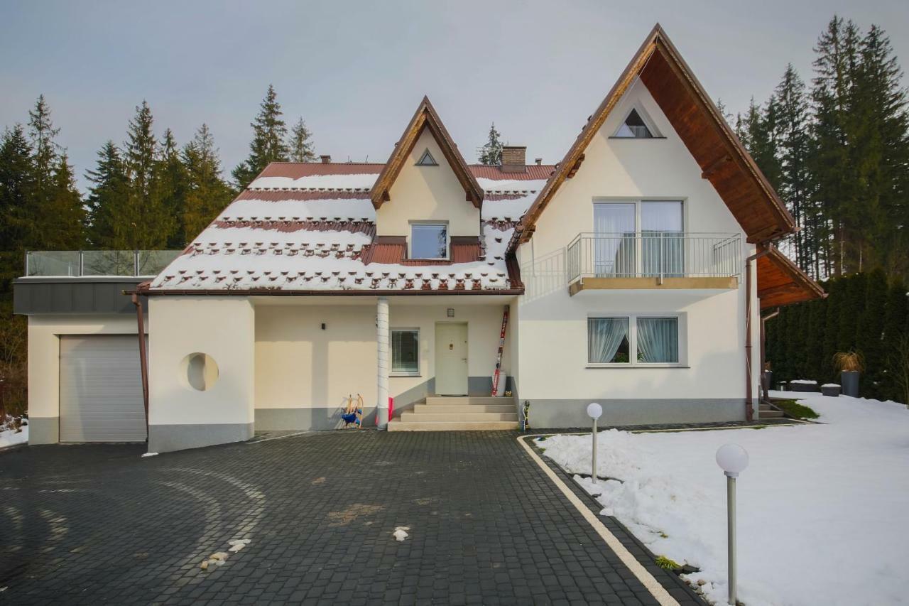 Willa Cichy Potok Zakopane Kültér fotó