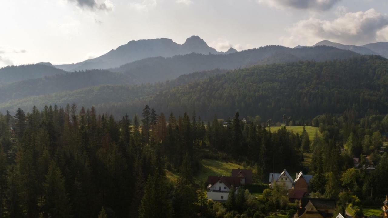 Willa Cichy Potok Zakopane Kültér fotó